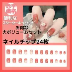 ネイルチップ【赤字価格】大ボリューム24枚入 道具要らずスターターキット付 2