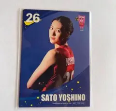 バレーボール ネーションズリーグ 2025 トレカ 佐藤淑乃選手