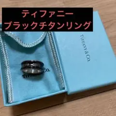 クリスマス限定値下げ⭐︎ティファニー シルバーu0026ブラックチタンリング