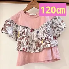 前後のフリルがかわいいTシャツ　120㎝　かわいいTシャツ