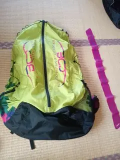 Item thumbnail for item 95bc912b-0f2b-4b5a-86b8-5572855cb25e