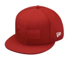 Item thumbnail for item 65ed017c-1b78-4496-bc71-c6c4cc418536