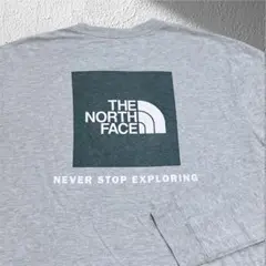 THE NORTH FACE 長袖ロンT グレー　ロンT メンズノースフェイス