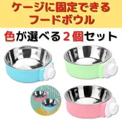 犬 猫 ペット フードボウル 2個セット フードボール 餌入 水入 ケージ 固定