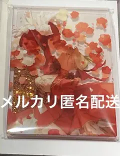 ワダアルコ展 Fate/EXTRA グリッターアクリルブロック ネロ　グリッター