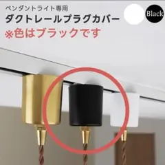 ダクトレールプラグペンダントライト専用 プラグカバー　ブラック　新品未使用✨