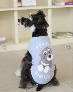 Item thumbnail for item 7d6467fe-be83-45eb-a273-b0808ef4f0fc