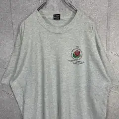 フルーツオブザルーム　USA製 90s シングルステッチプリントTシャツXL