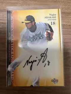 Item thumbnail for item f802177c-9320-4608-8218-a6b62f248e45