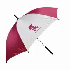 Item thumbnail for item 38c860bb-7e6d-40a3-bc56-522694465176