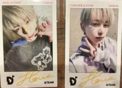 &TEAM D'PARTMENT チェキ HARUA