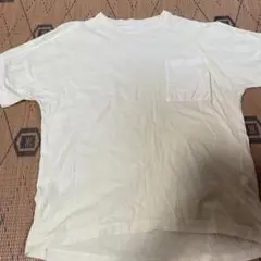 ZARA 淡い黄色 Tシャツ サイズ7
