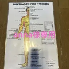 anna様