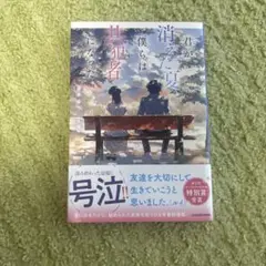君が消えた夏 僕らは共犯者になった