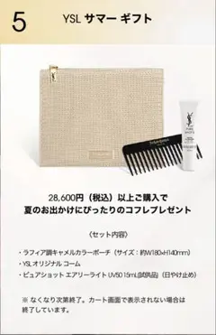 【限定品】Yves Saint Laurent ポーチのみ