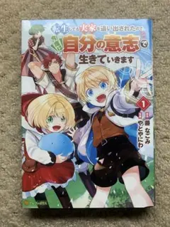 転生しても実家を追い出されたので、今 1