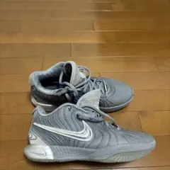 LEBRON 21 EP 'RESILIENCE'