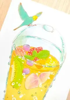 フルーツティーパンチ　キウイ　ピーチ　苺　ベリー　インコ　ポストカード