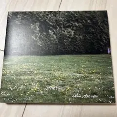 ミツメ/Ghosts アナログレコード （未再生） ミツメ/Ghosts アナログレコード （未再生）