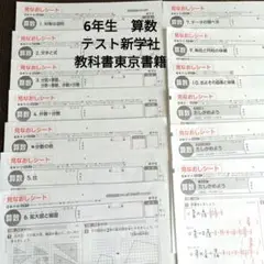 6年生　算数　見なおしシート　新学社