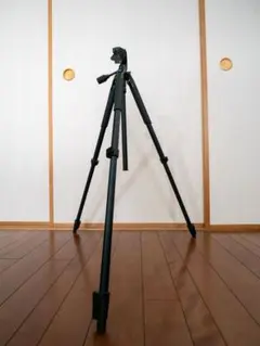 Item thumbnail for item fbcaa506-d82e-44aa-b777-caf39eeea3ca