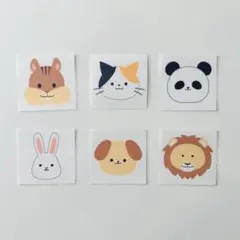 動物　絵カード 6種類5枚　30枚セット　保育園　保育教材
