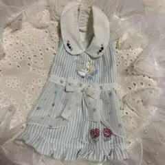 水色ストライプ犬服 DSSサイズ