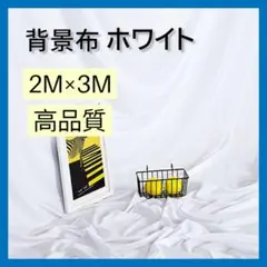 Item thumbnail for item 5faf0fe9-8fe9-4e87-bb65-4ab7ee7b73e5