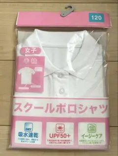 Item thumbnail for item 877c7cf7-f2b2-4935-a18c-08335585a8a2