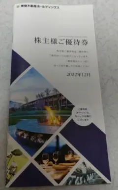 東急不動産ホールディングス☆株主優待券☆1000株用