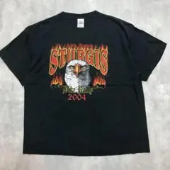 USA古着 00s イーグルデザイン Tシャツ ヴィンテージ