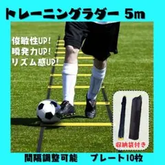 トレーニングラダー　5m