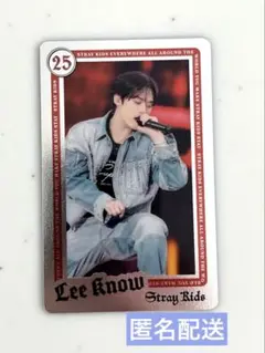 StrayKids リノ ライブフォトカード トレカ