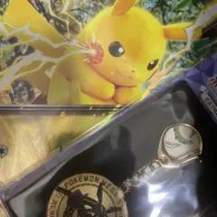 ポケモン ピカチュウEX プロモカード ＆ レックウザメダルキーホルダ