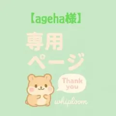 【ageha様】専用ページ