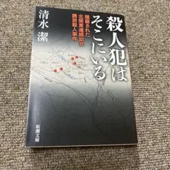 殺人犯はそこにいる 隠蔽された北関東連続幼女誘拐殺人事件