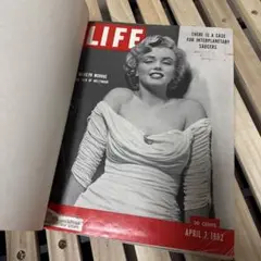 Item thumbnail for item ca15f537-077b-4ab9-bc39-410dabe8ec6f