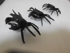 Item thumbnail for item 79490b51-2935-42ec-94ef-a0288a556094