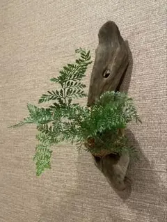 Item thumbnail for item c5e610d5-8b22-4ff2-b7f2-ee8da7920e61