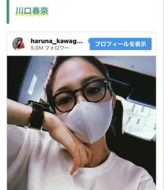 モスコットレムトッシュ46 サングラス 極美品！早い物勝ち！