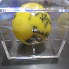 AKB48 - 超希少品 レア AKB48 Team K 直筆サイン入り フットサル ボール AKB48 - 超希少品 レア AKB48 Team K 直筆サイン入り フットサル
