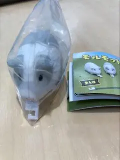 モルモット メジャー モルモットと草 グレー