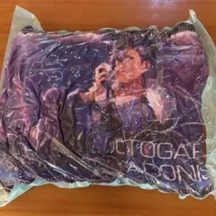 乙狩アドニス　ビッグクッション　あんさんぶるスターズ
