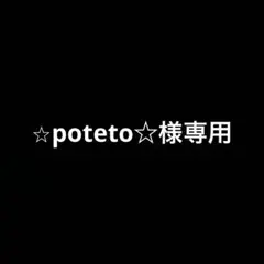 ポテトヘッド Tシャツ Sサイズ