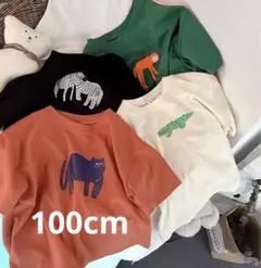 子供服　アニマル柄　Tシャツ　しまうま柄　100cm