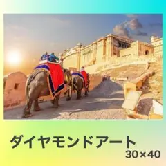 ダイヤモンドアートキット　象　動物　建物　30*40　５D ラウンドビーズ