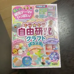 キラキラ　自由研究&クラフト 小学生