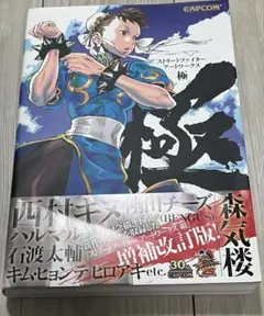 ストリートファイター　アートワークス極 ストリートファイターアートワークス極 (カプコンオフィシャル