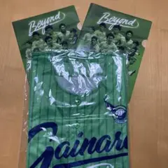 ガイナーレ