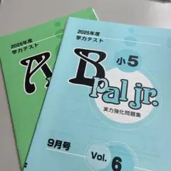 ⭐️やーすーさま専用⭐️